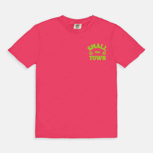 Find Joy In the Little Things Comfort Colors Tee 1717